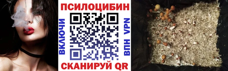 Галлюциногенные грибы мухоморы  MEGA маркетплейс  Ядрин 